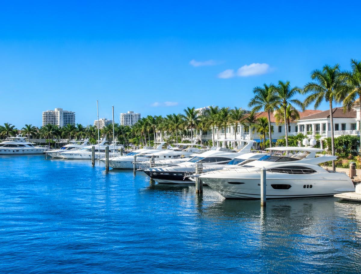 Bright daytime marina with white boats and clear blue sky